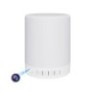 Haut parleur Bluetooth & Lampe & Camera espion wifi 1080P détection de mouvement