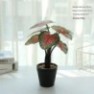 Pot avec plante artificielle caméra espion HD 1080P Wifi détecteur de mouvement 
