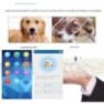 Collier traceur GPS pour chien localisation alerte anti-fugue, bidirectionnelle