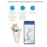 Traceur GPS 4G pour animal de compagnie suivi en temps réel lumière LED 